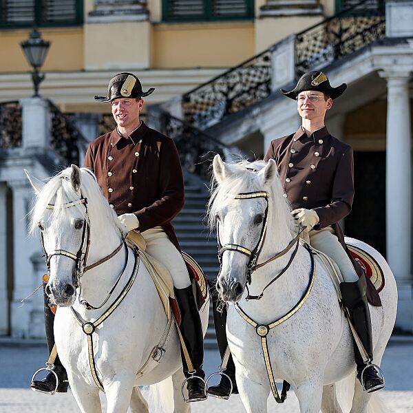 Lipizzaner vor Schönbrunn