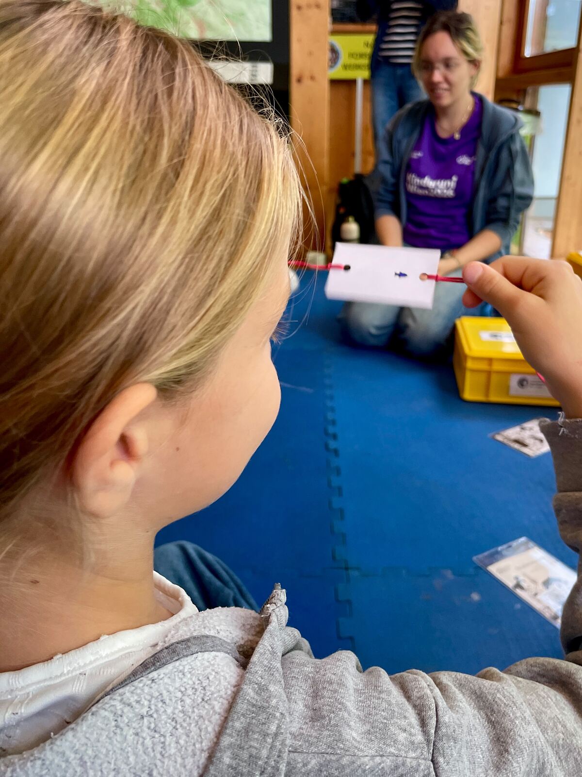 Kinderuni on Tour in Niederösterreich 